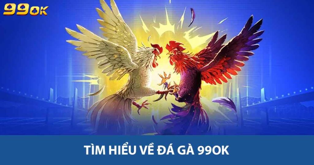 Tìm hiểu về đá gà 99ok
